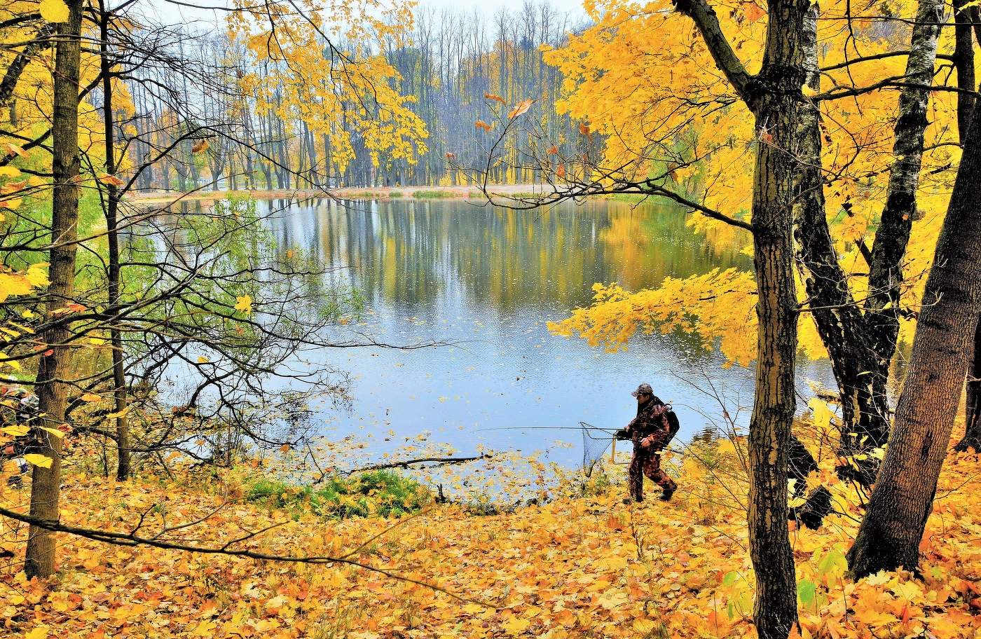 "Приятна мне твоя прощальная краса ..."