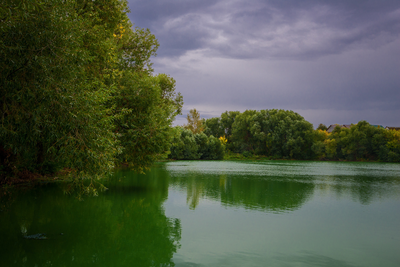 Сельский пруд... (2)