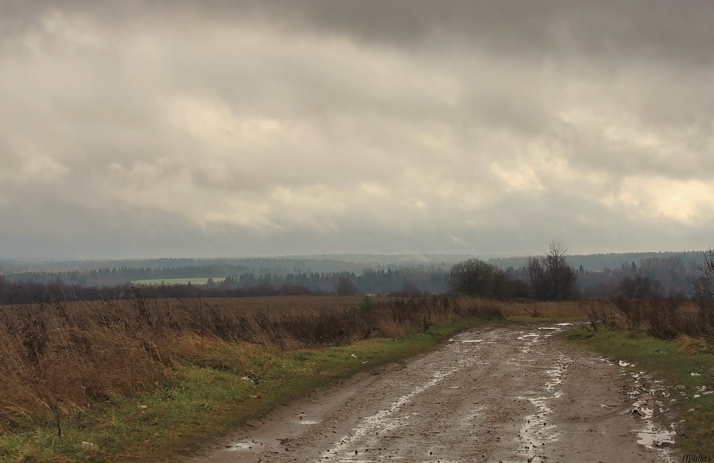 ..уж небо осенью....