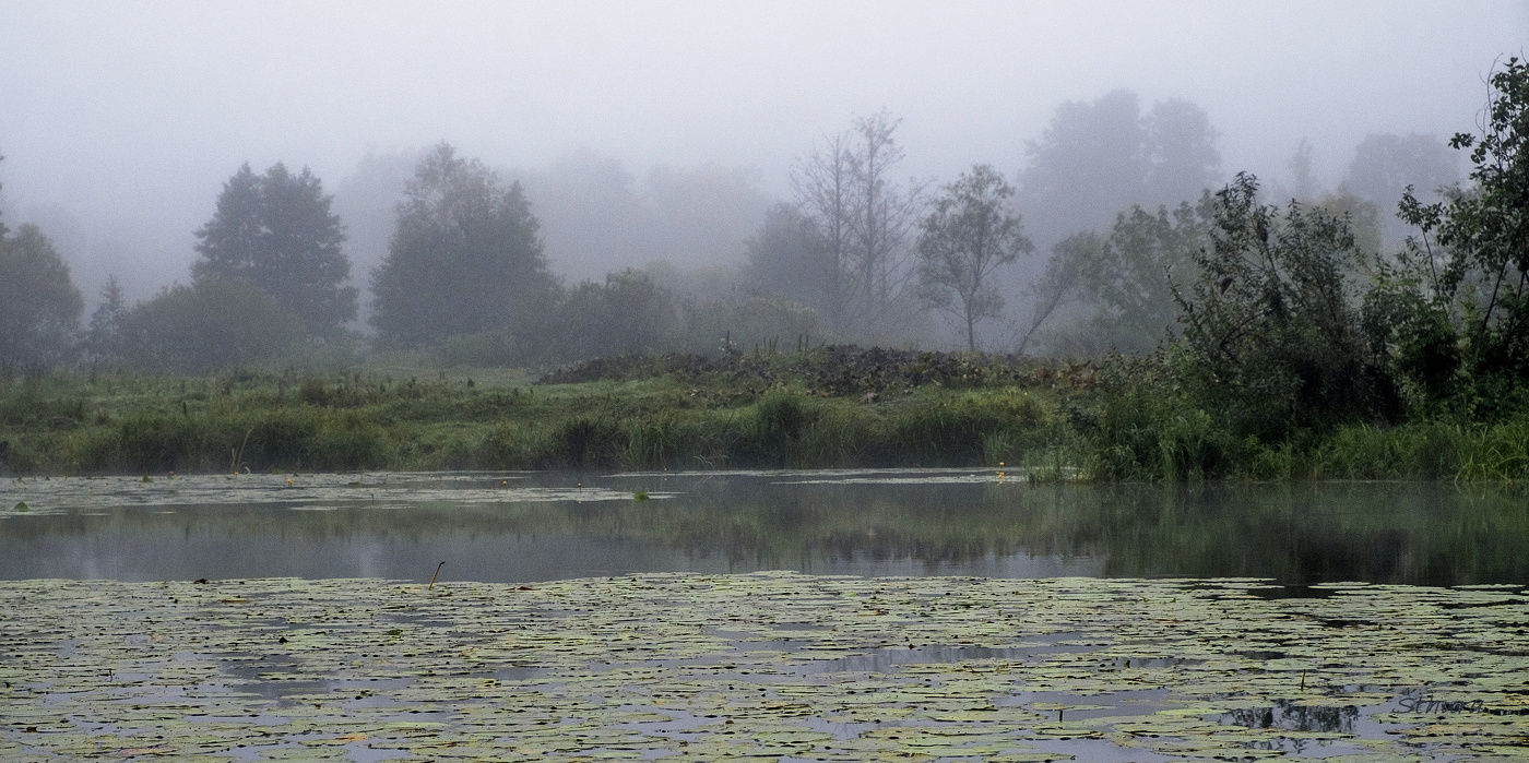 Пасмурно и туман.