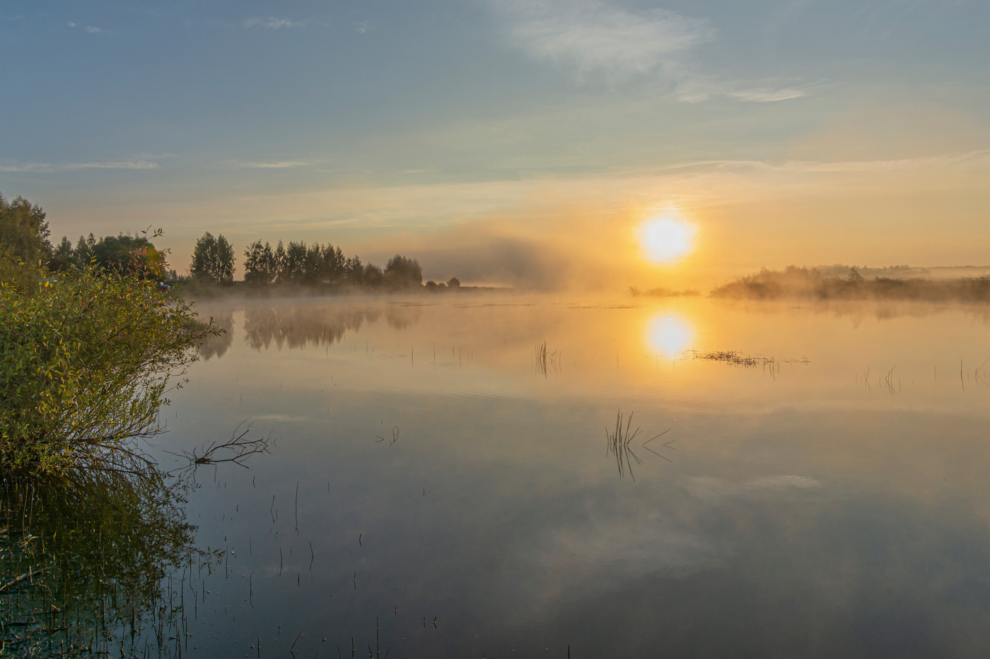 утро на пруду