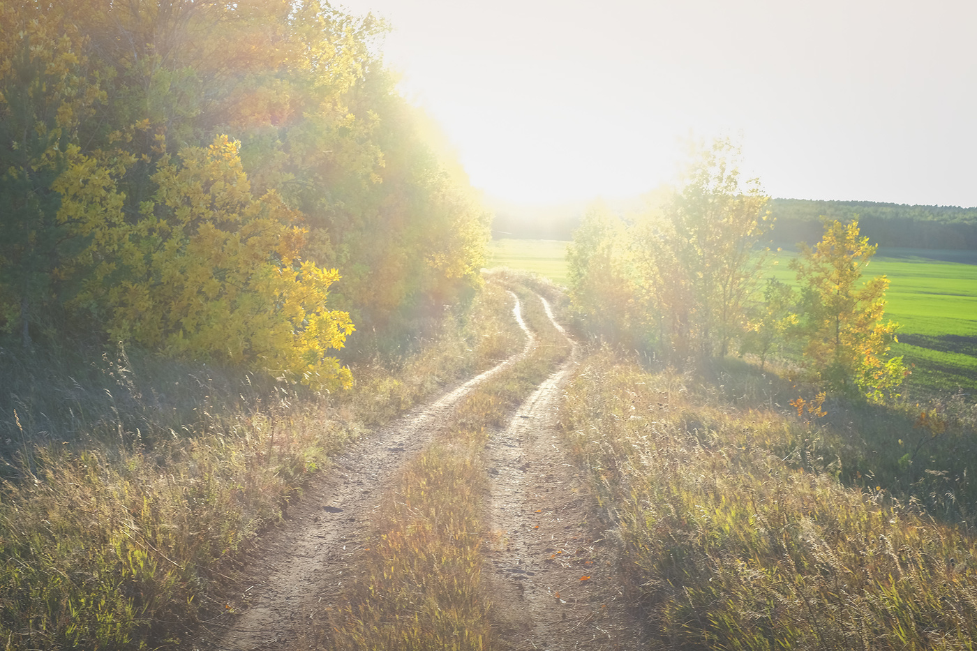 Дорога в осень...