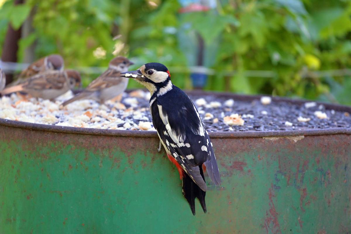 А кушать хочется всегда.....