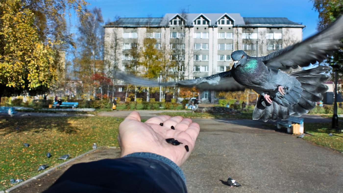 Посадку разрешаю!