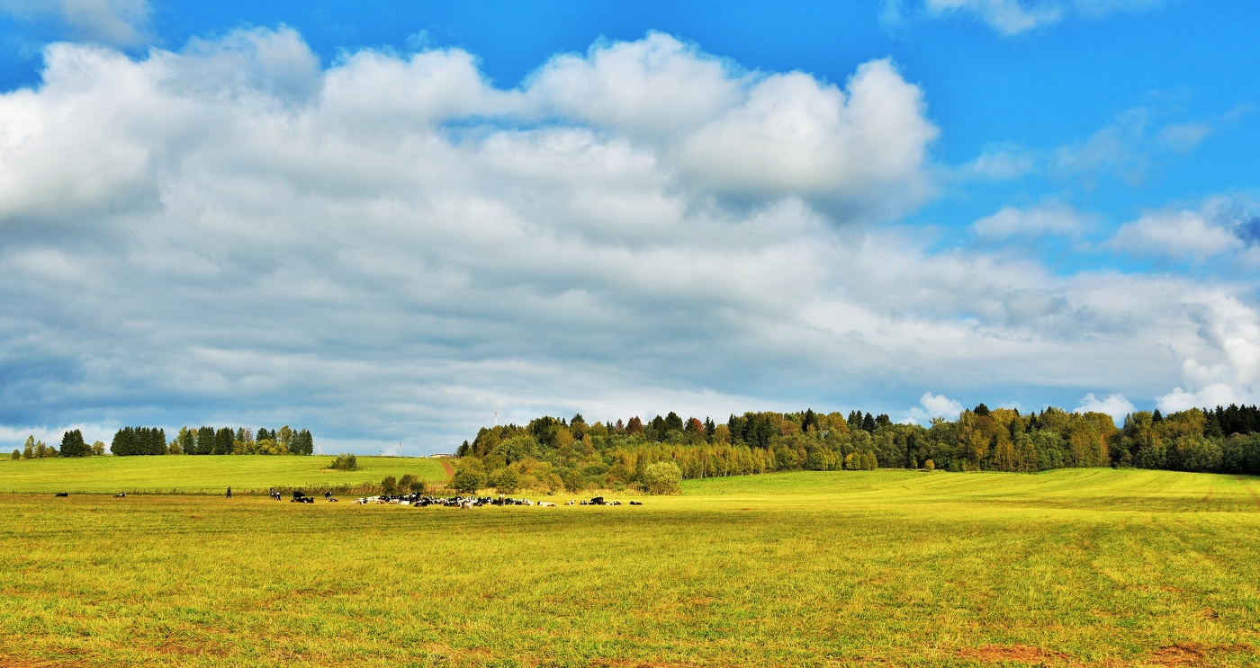 "В последних числах сентября ..."