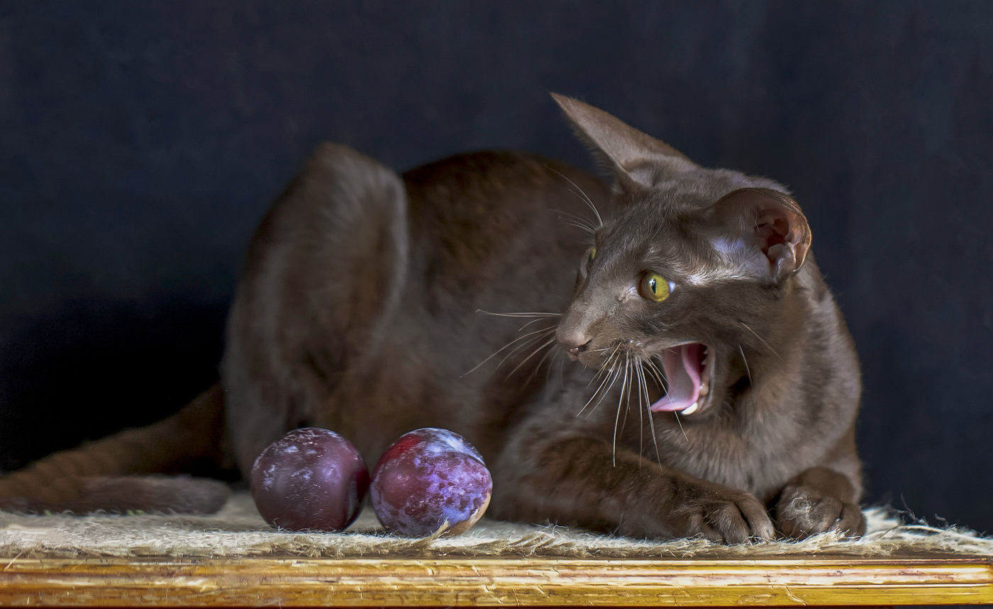 ?!?!?!?!?!?!?!?!?!?!