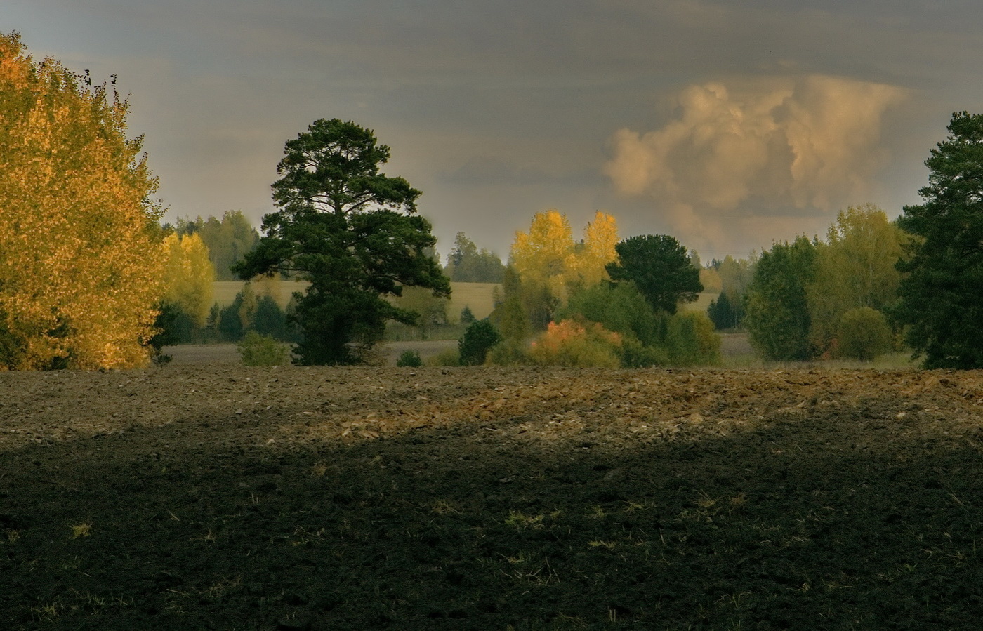 *Осенняя дымка.**