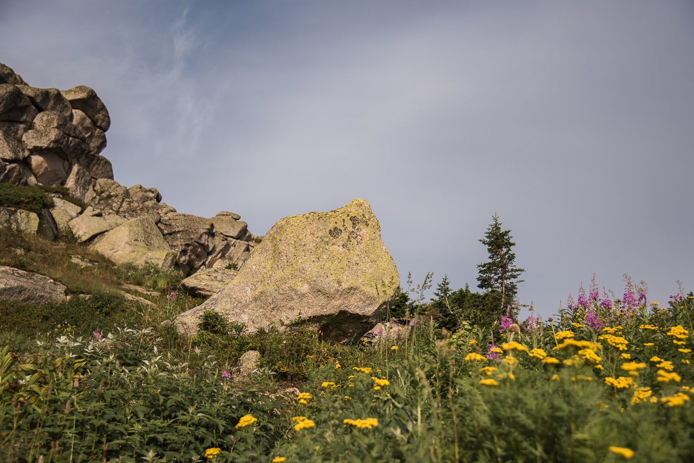 Не вешать нос!