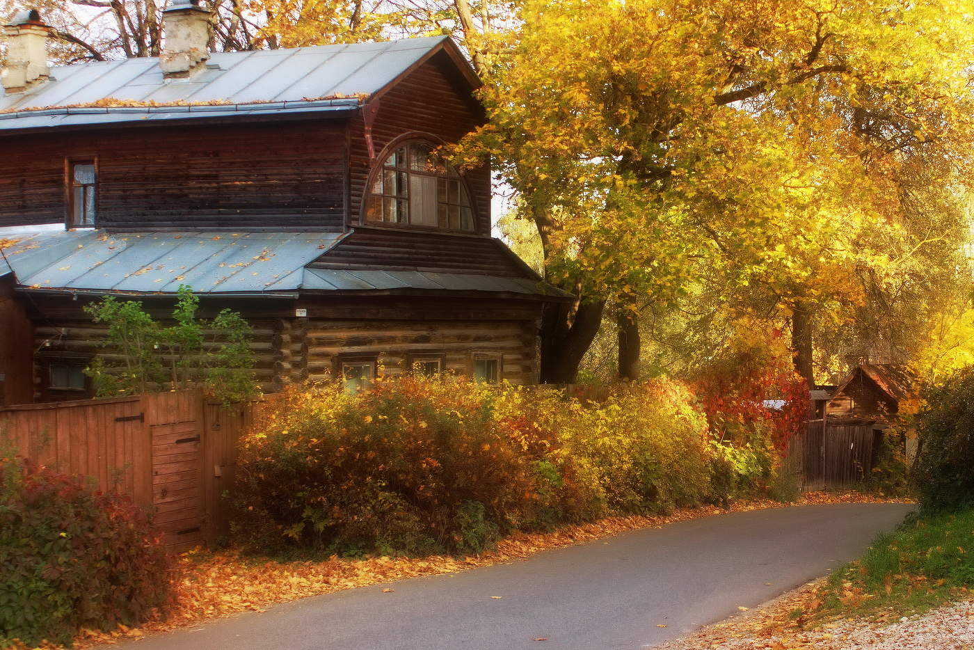 Осень в Тарусе