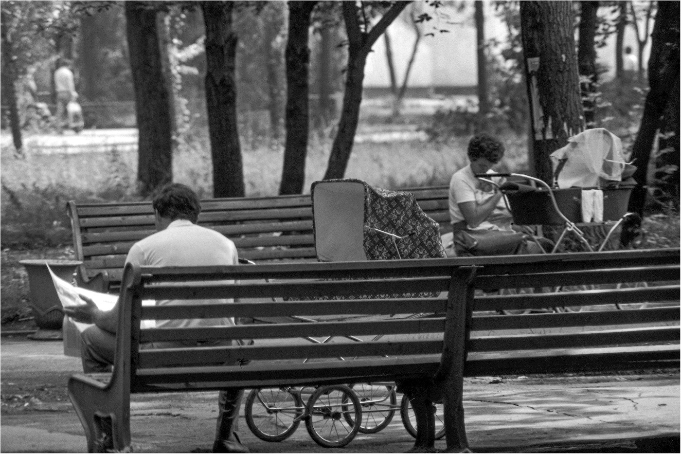 В Старом парке