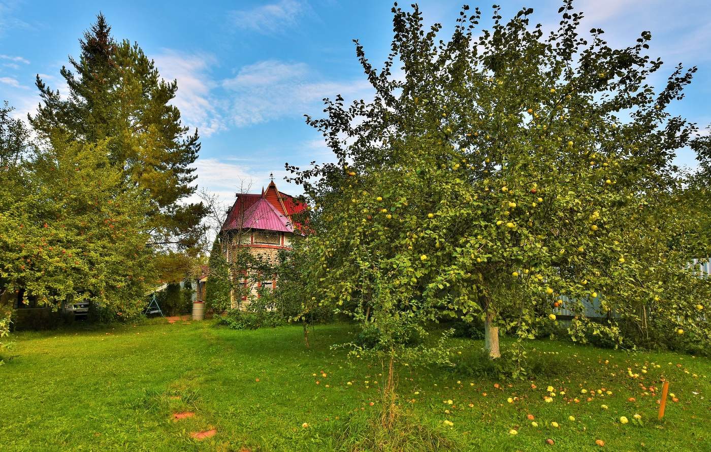 "Ударяется яблоко оземь - столько раз, сколько яблок в саду..."