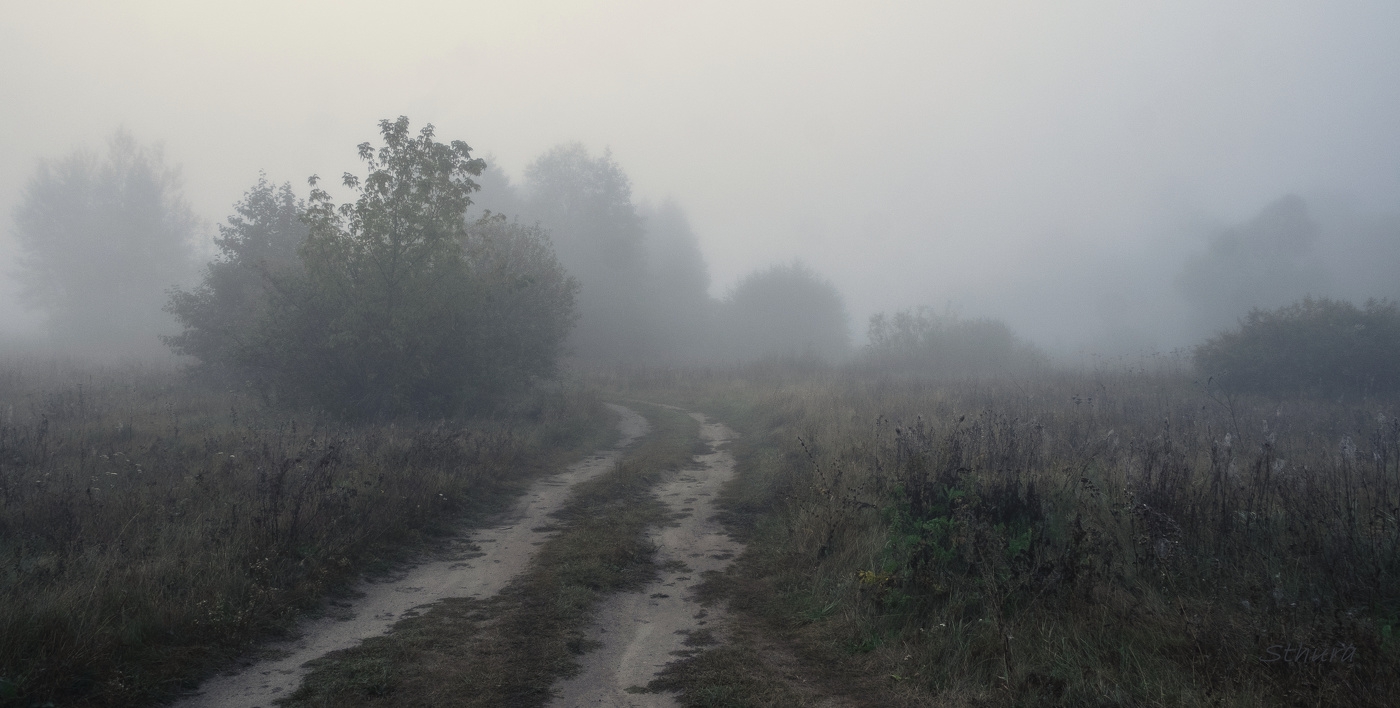 По утренней дорожке.