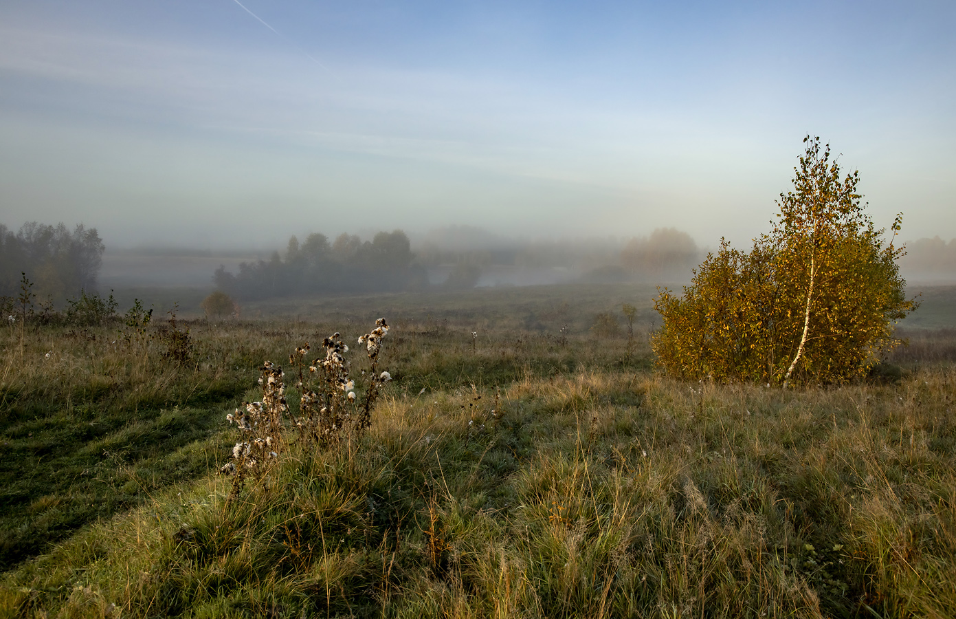 Осеннее настроение...