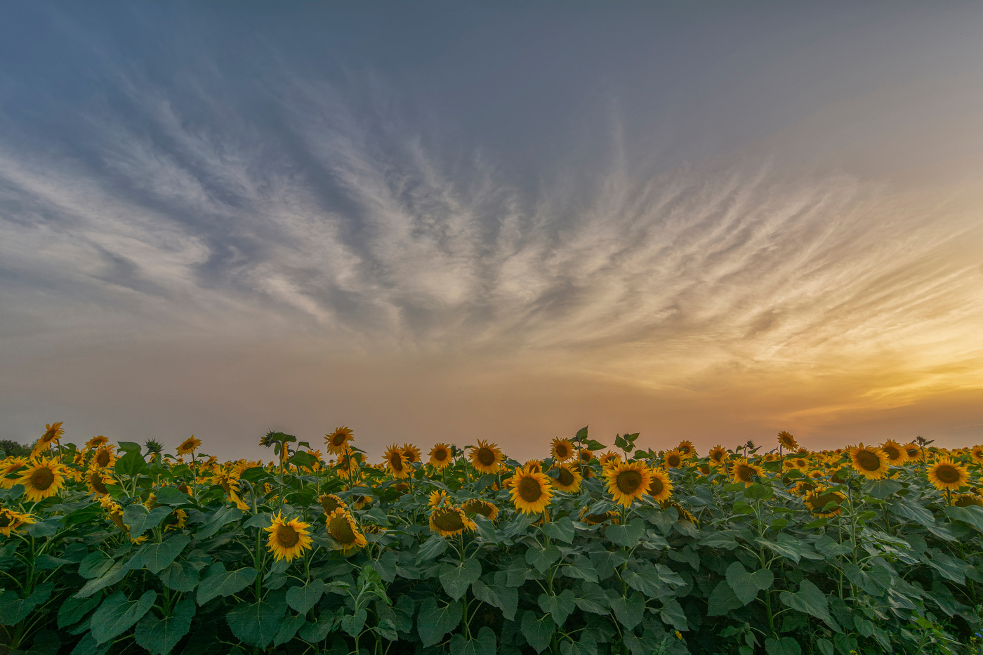 отвернулись 2