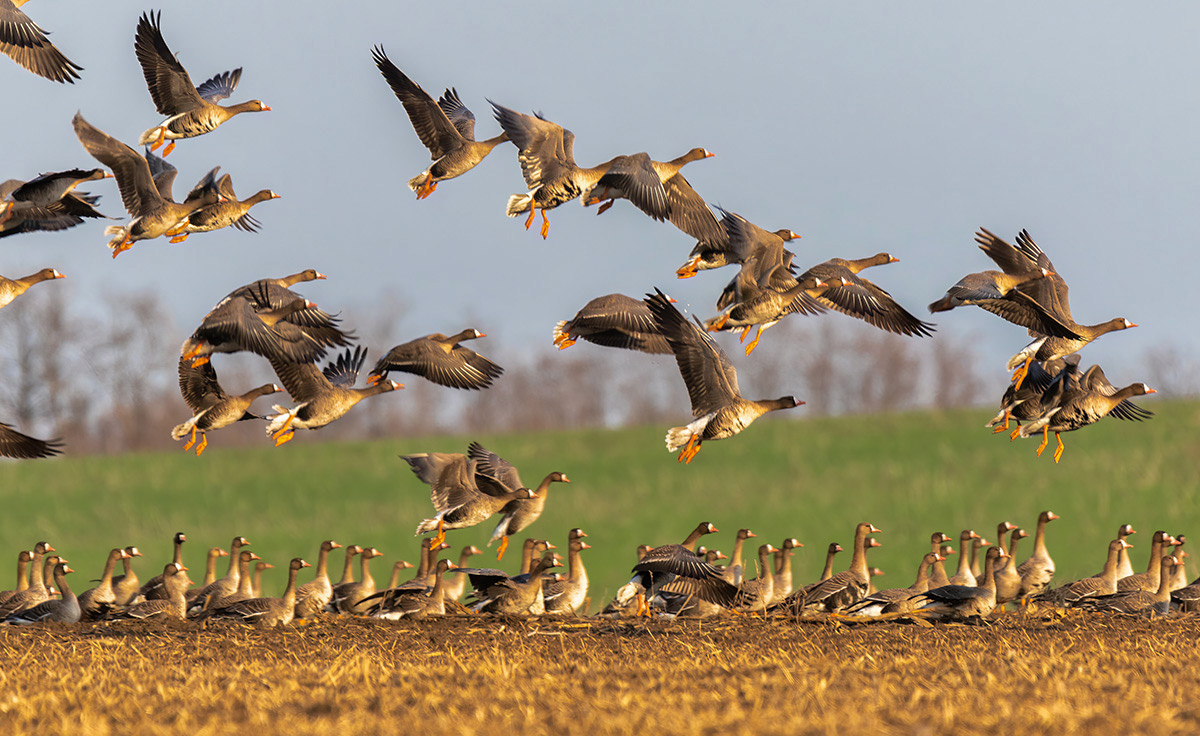И снова в путь
