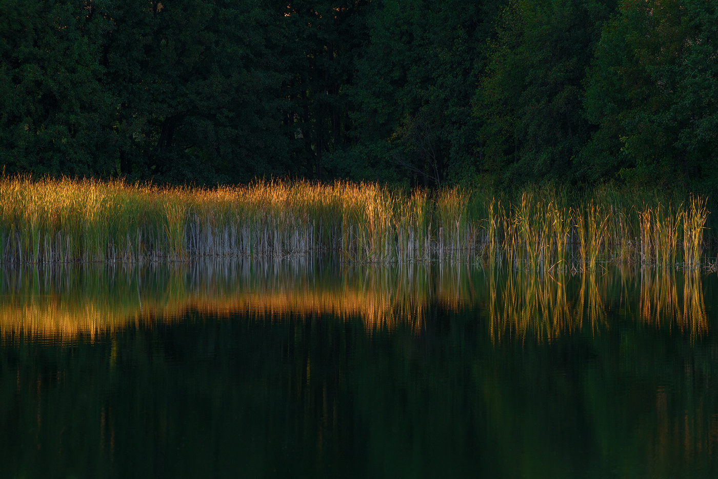 Почти ночь...