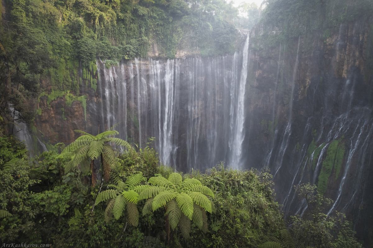 "Тропический водопад"