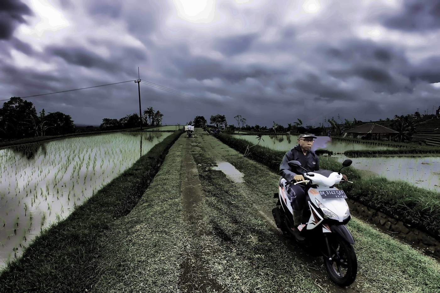 Рисовый "плантатор"