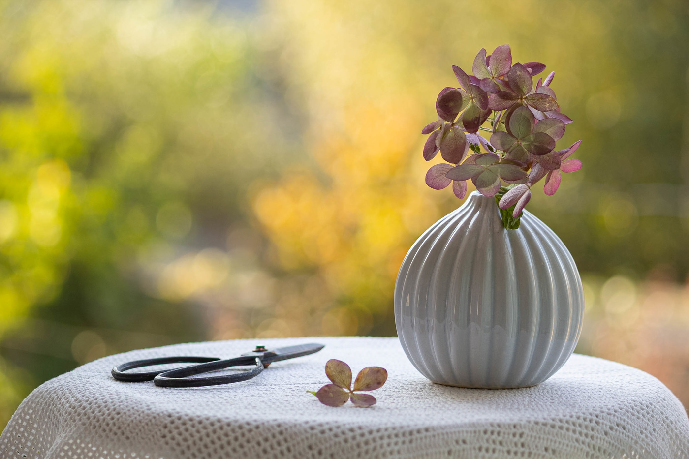 На фоне осени