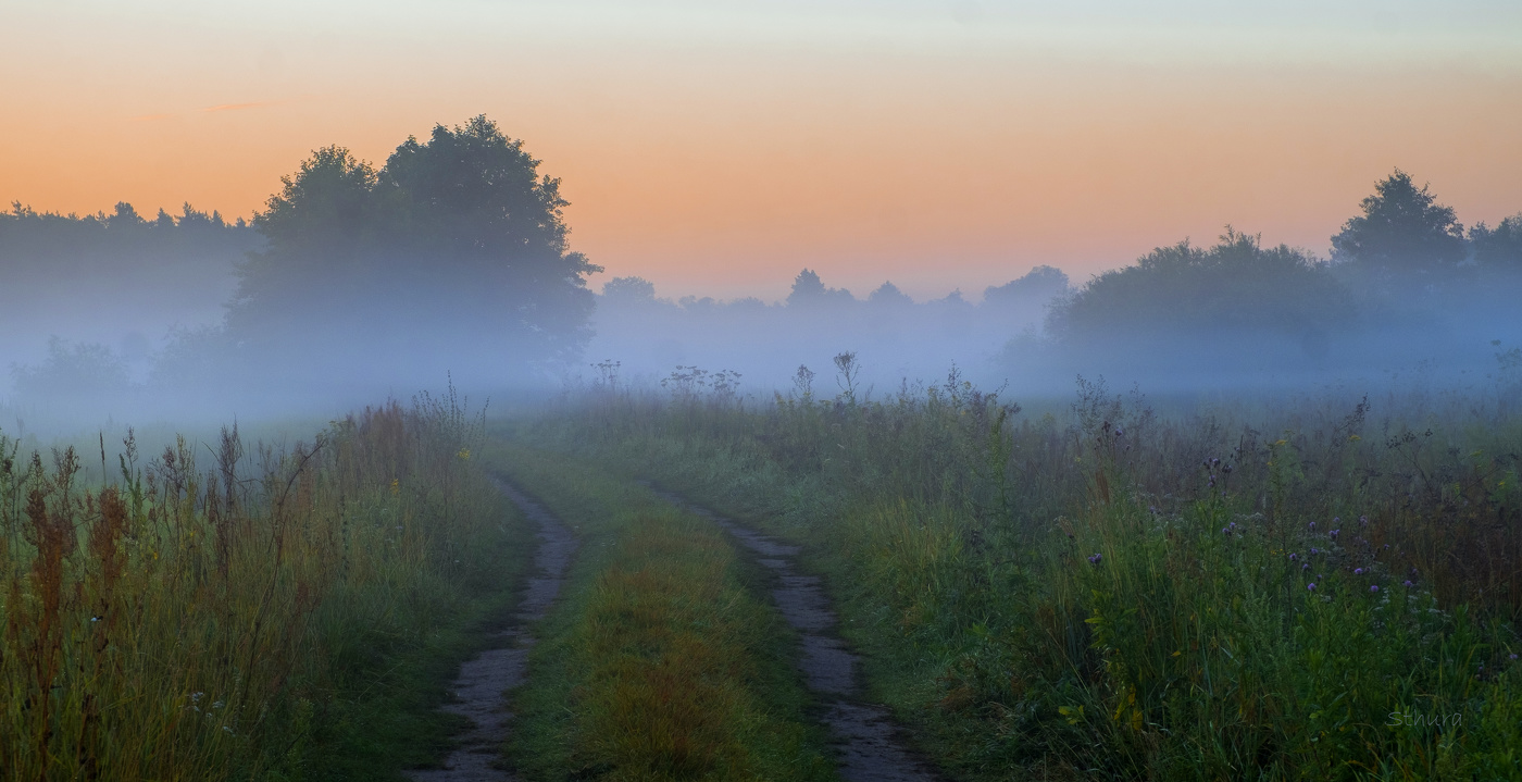 Утро в поле.
