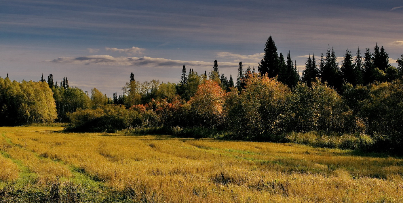 *Вечереет.**