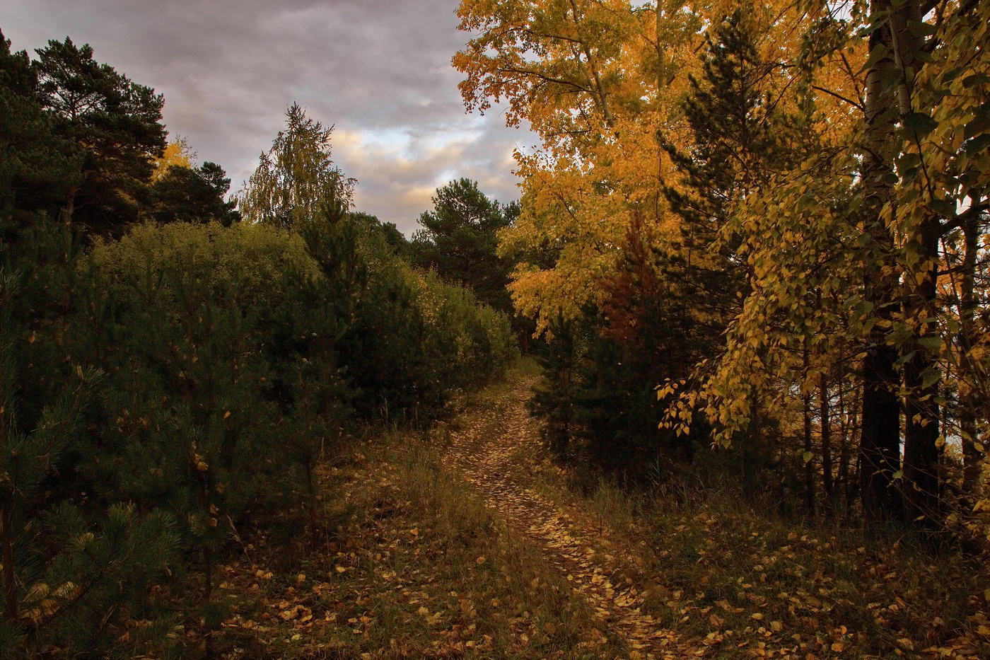 *Время листопада.**