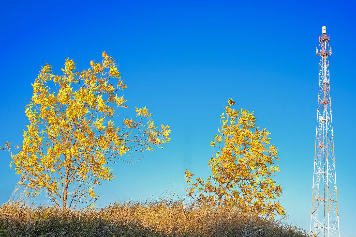 Ретранслятор...