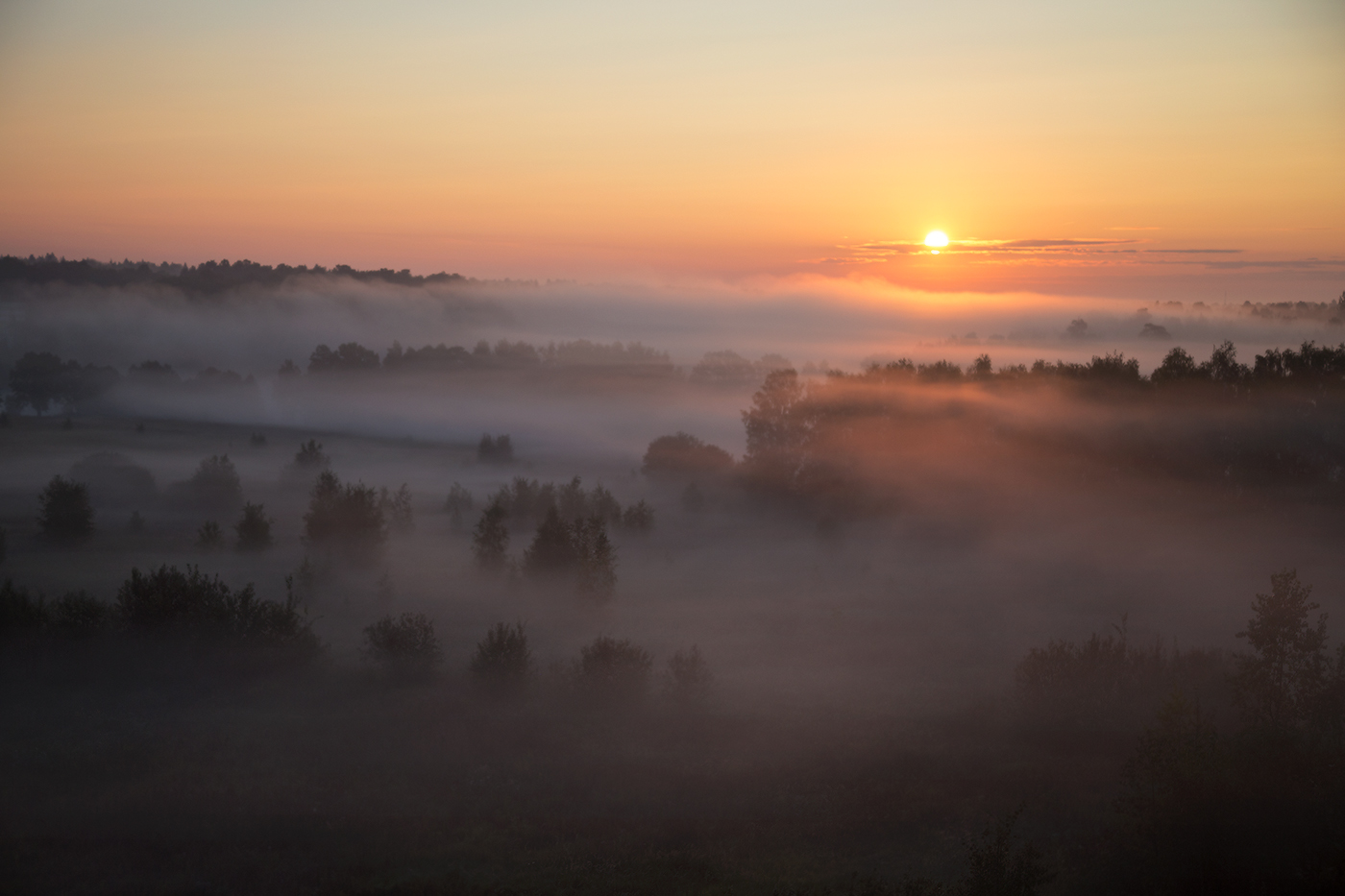 Наползающий туман