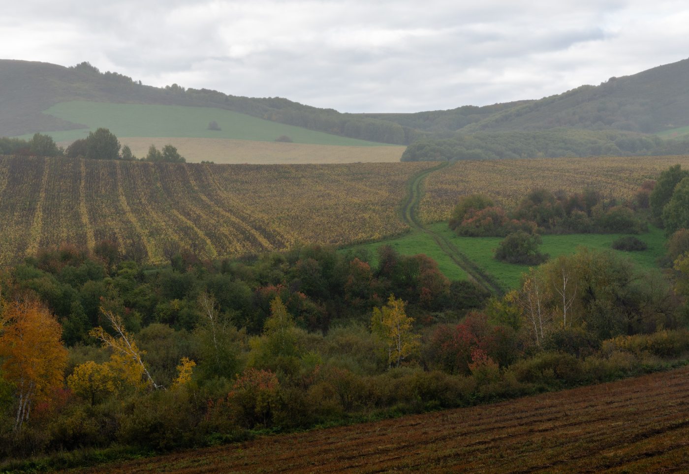 Осеннее ненастье