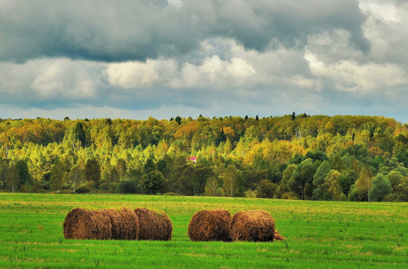 "Когда ты знаешь, что под солнцем есть крыша дома твоего..."
