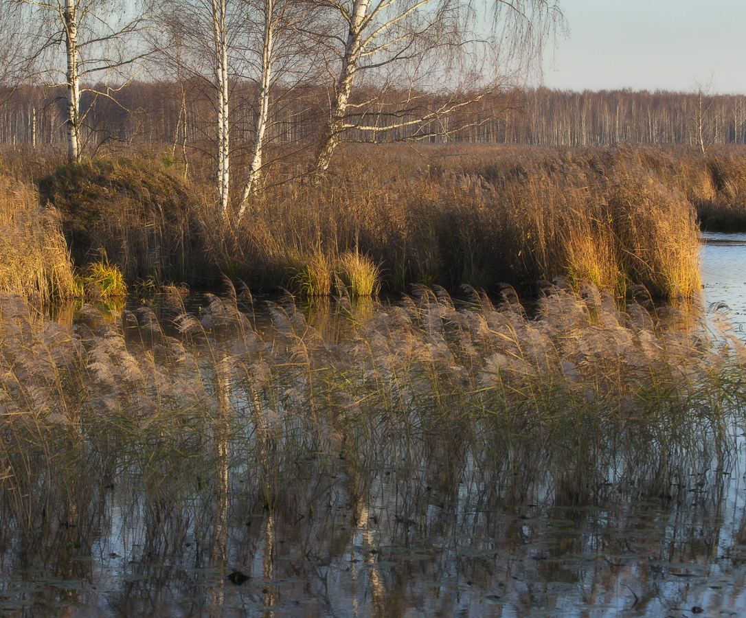 Осенний ноктюрн