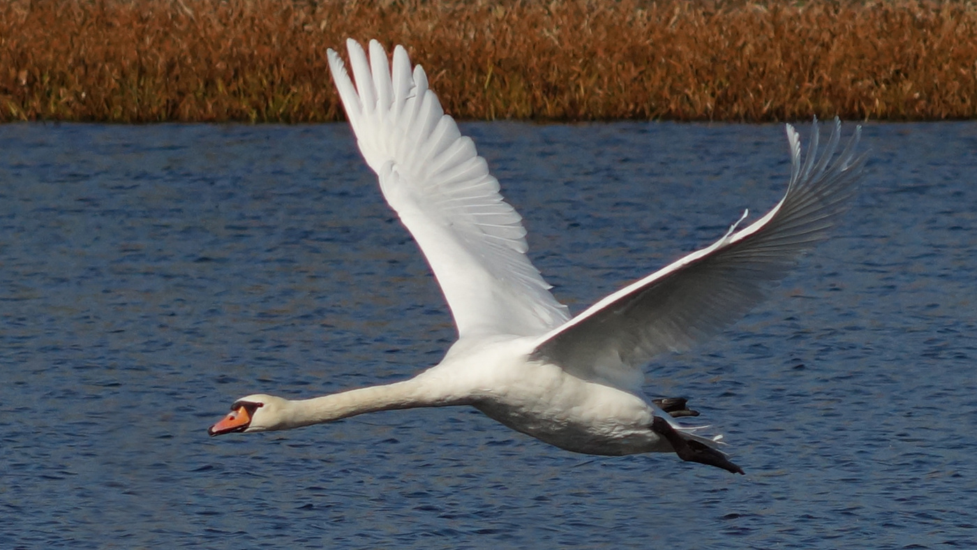 Учебный полёт.
