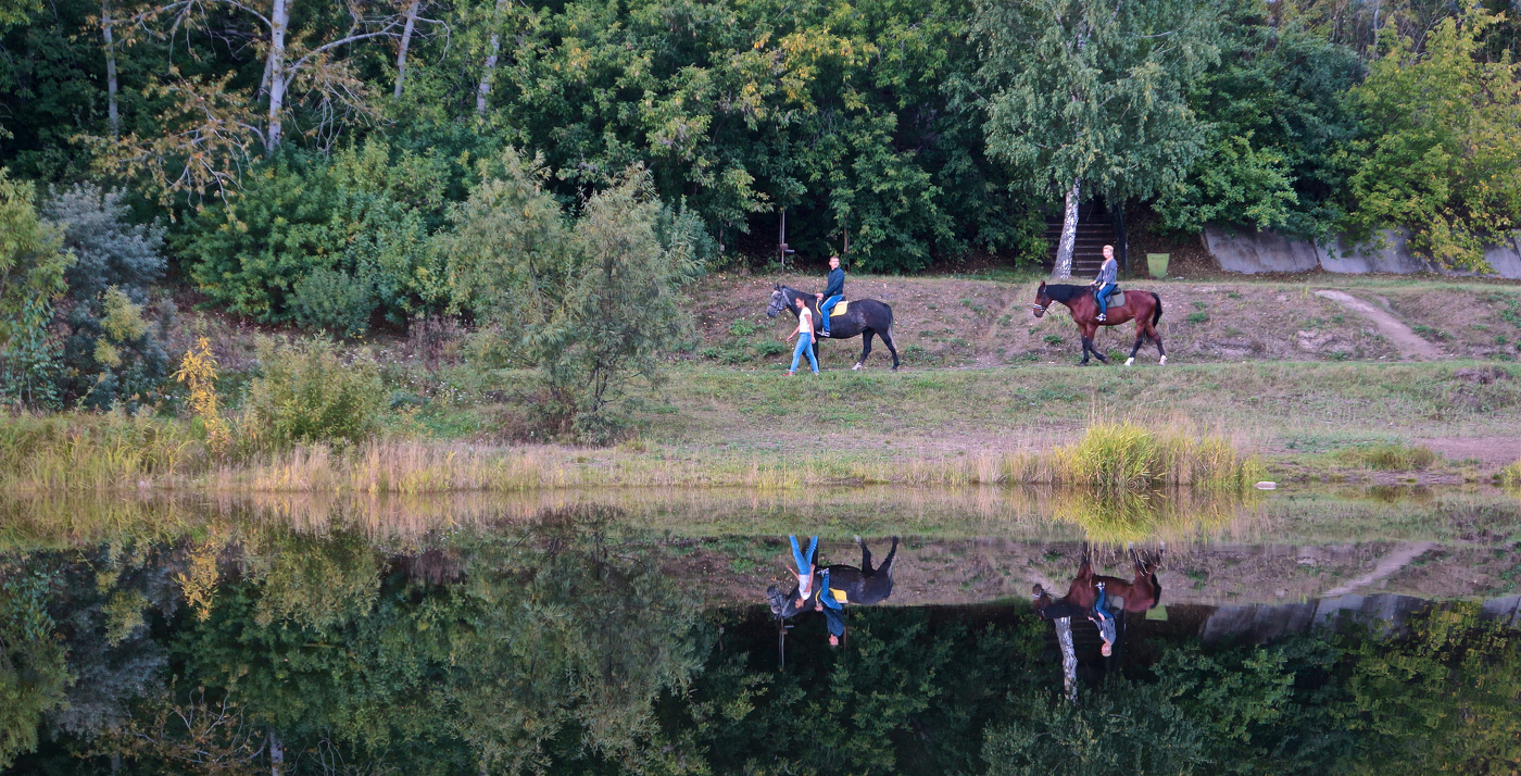 Любители конных прогулок