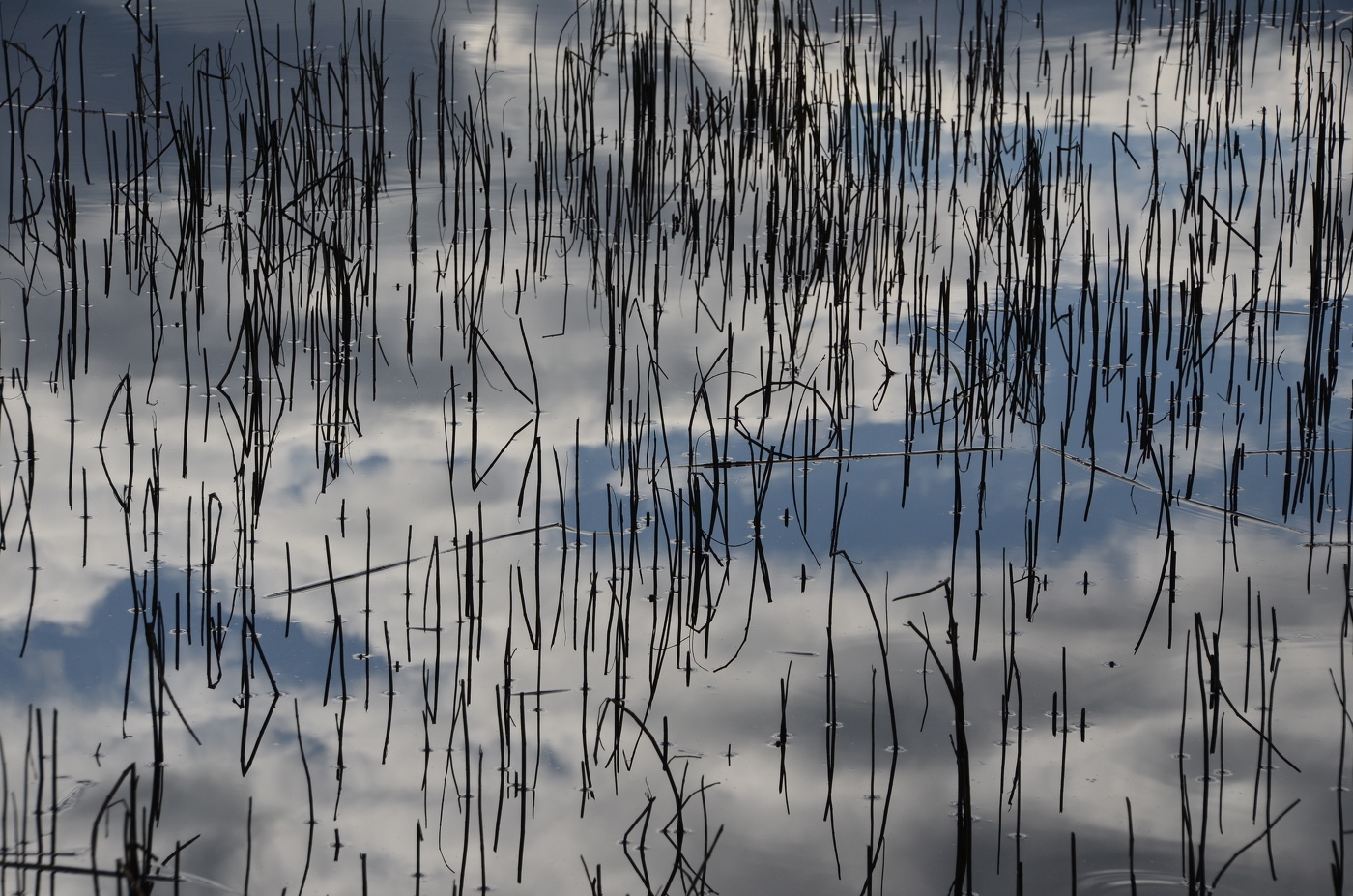 Без названия