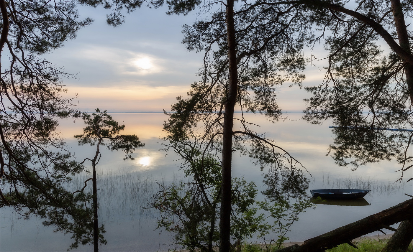 В ПЛЕНУ ТИШИНЫ