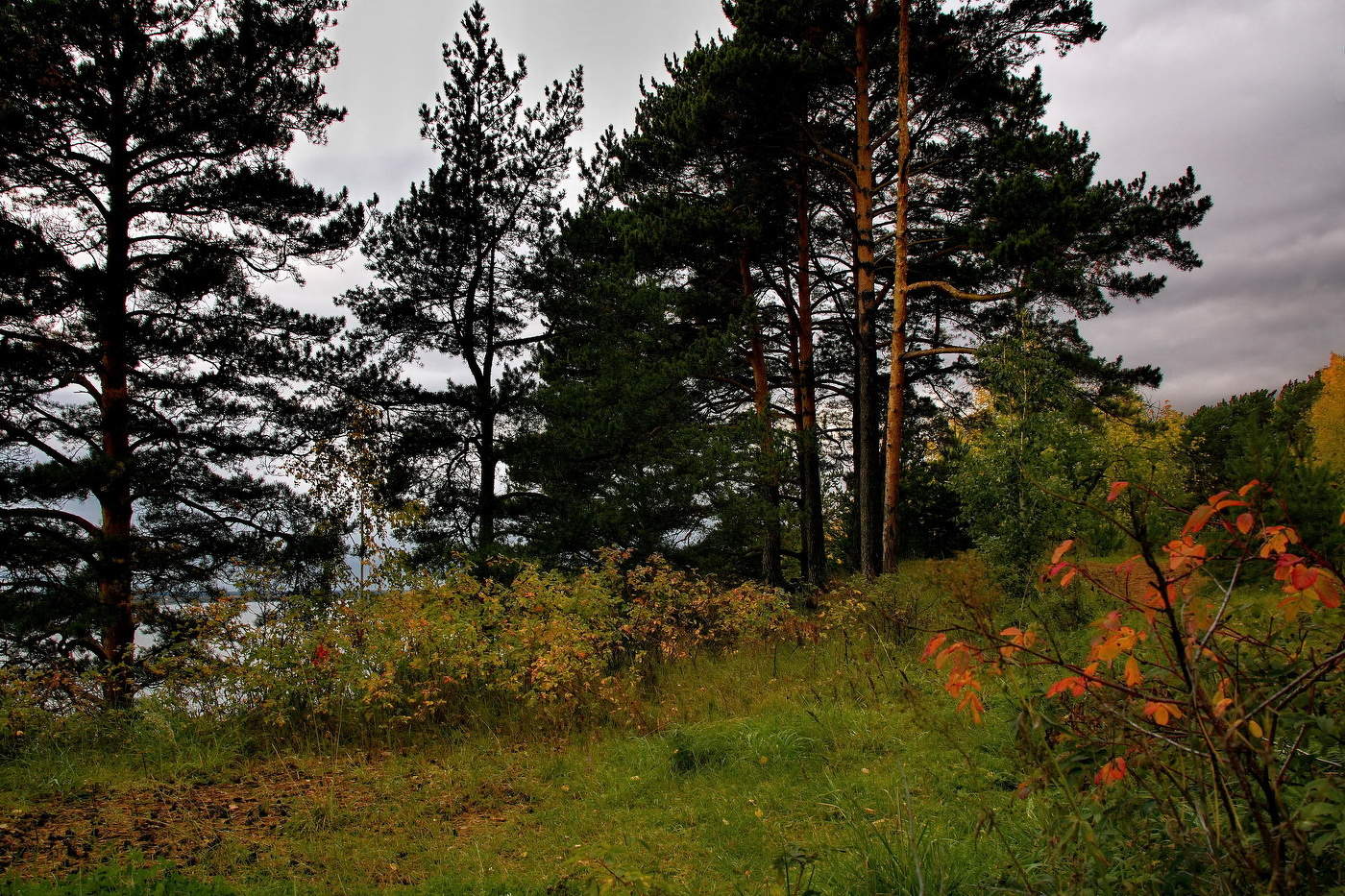 Пасмурный вечер.