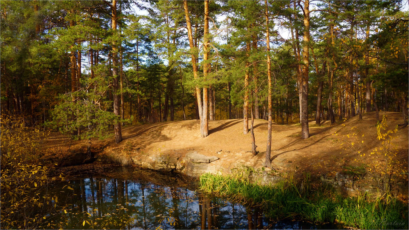 Осени укромный уголок