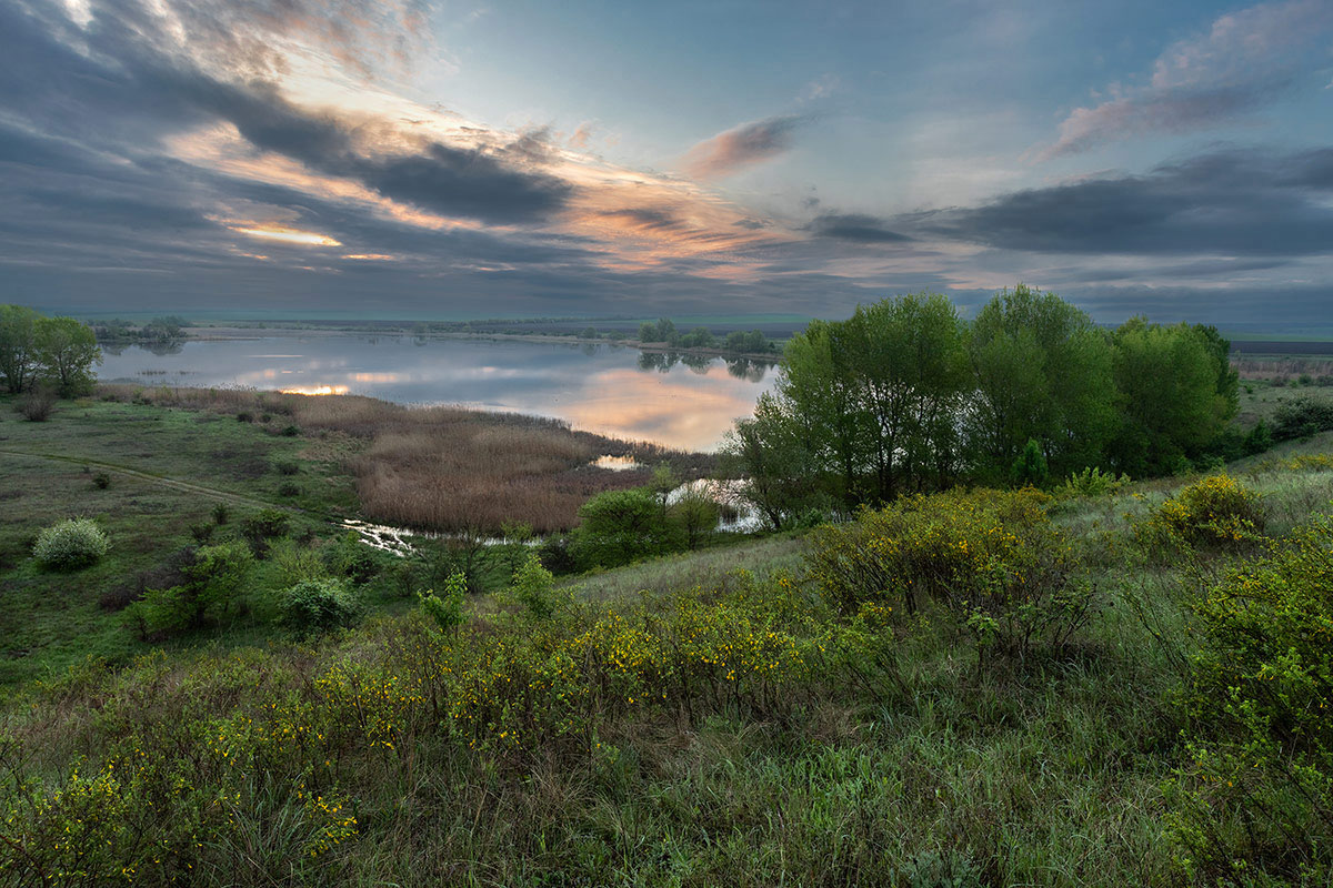 Старый пруд