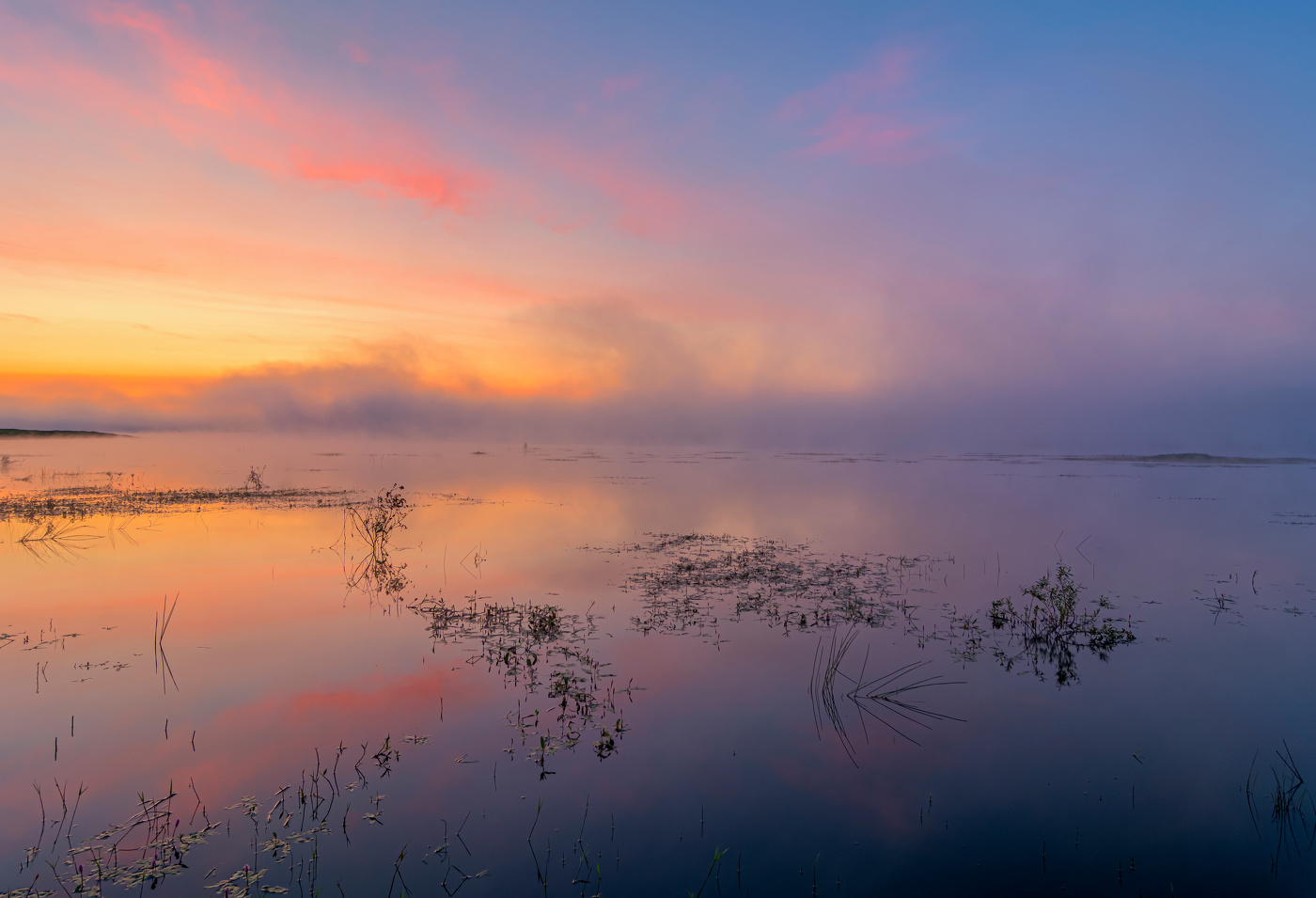 рассвет на пруду