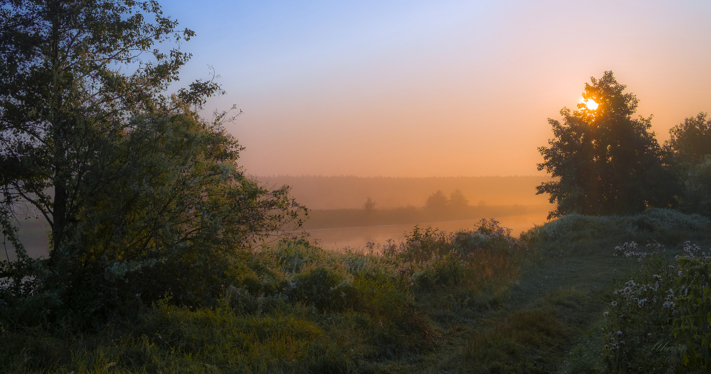 Утро летнее.