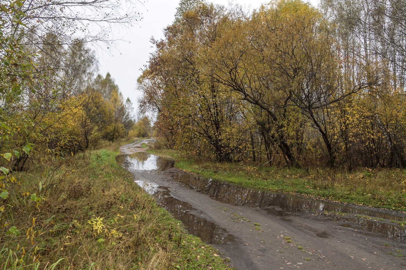 Пасмурный сентябрь