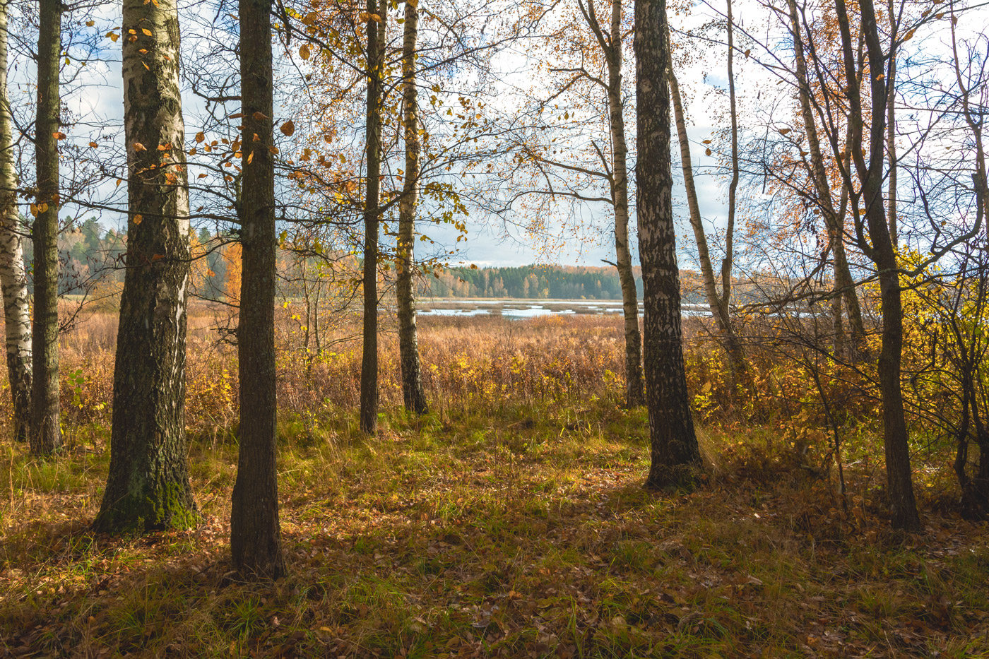 осенние зарисовки