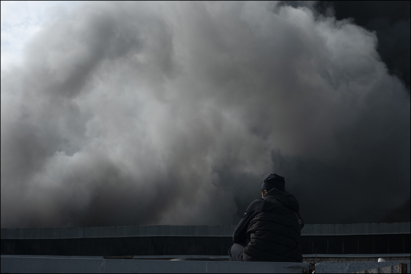 белогривые лошадки