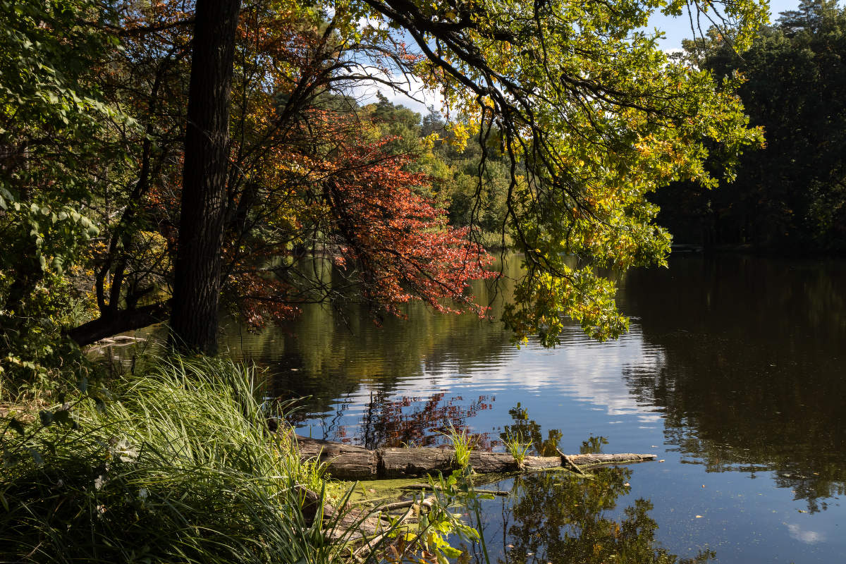Конец лета.