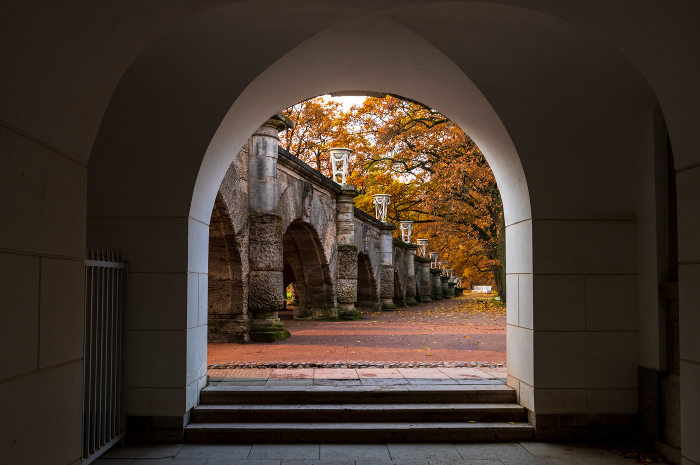 Осеннее утро в Екатерининском парке.