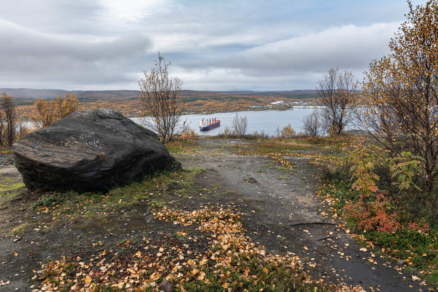 листья жёлтые ... нам под ноги ложатся