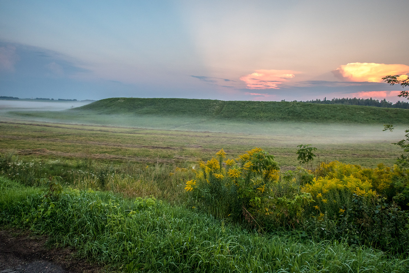 Вечерняя зарисовка