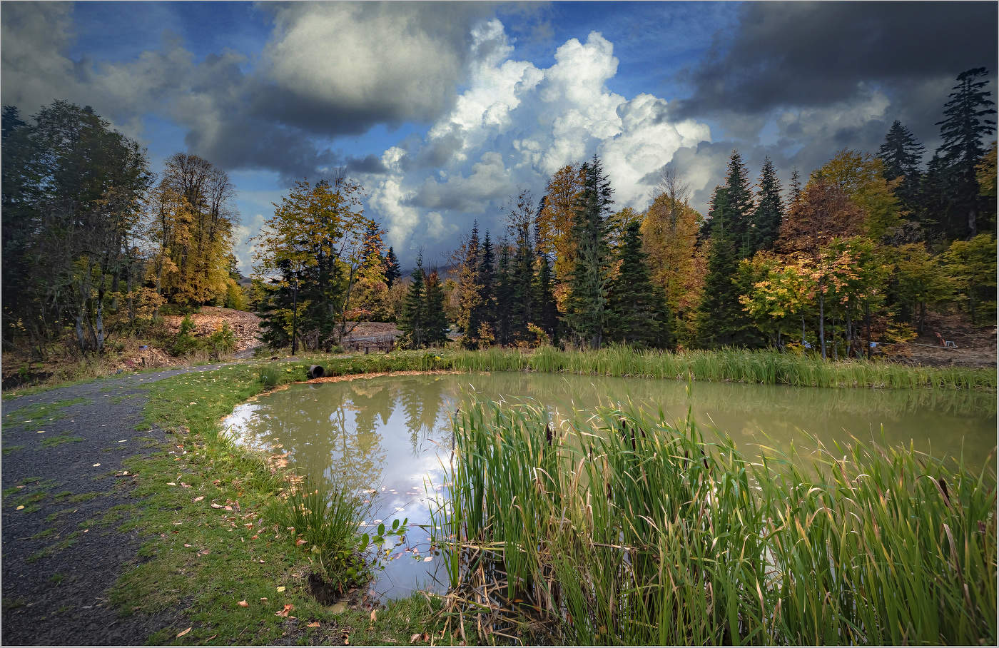 Яворова поляна