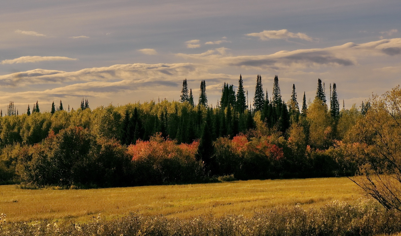 **Тёплый вечер.*