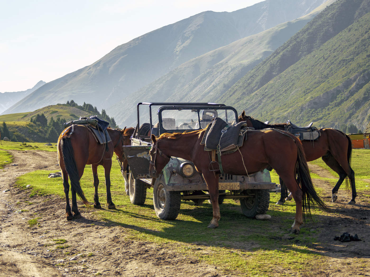 Лошадиные силы